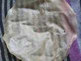 ખીચિયા પાપડ