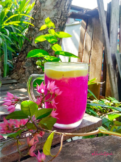 Foto resep Jus Naga Avocado