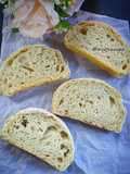 Roti Ciabatta