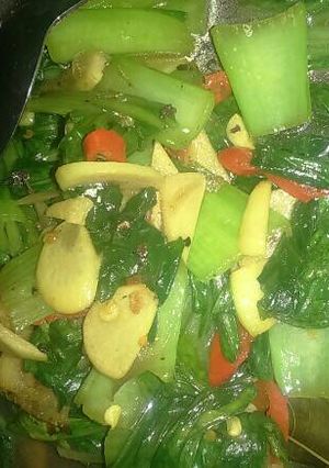 Foto resep Tumis sawi daging