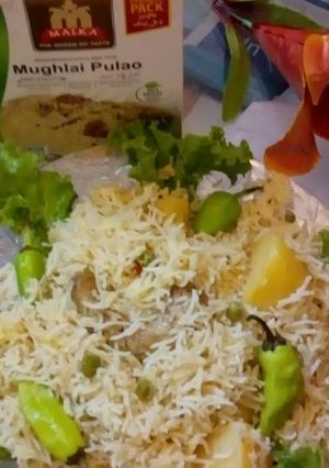 A picture of Mughlai pulao.