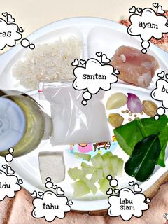 Foto resep MPASI 6+ : BUBUR OPOR AYAM (3 porsi)
