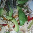 Guiso de pollo rostizado con pimientos morrones