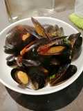 Mussel