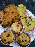Bánh muffin quả bơ chocolate chip