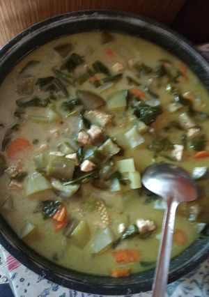 Foto resep Sayur lodeh daging spesial