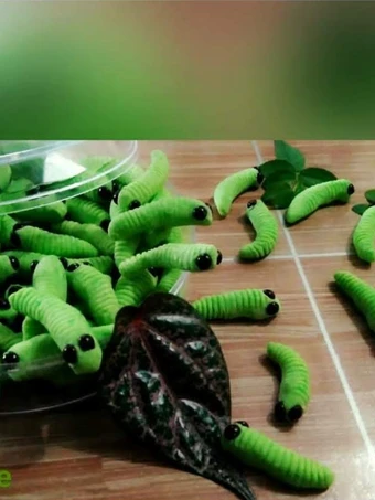 Langkah Mudah untuk Membuat Resep Kue Semprit Ulat Sagu yang Bisa Manjain Lidah Anti Ribet, Menggugah Selera