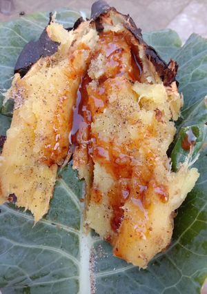 A picture of Roasted sweet potato.