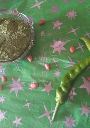 ચટણી(Chutney Recipe in Gujarati) રેસીપી મુખ્ય ફોટો