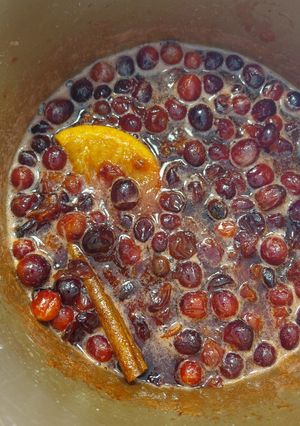 A picture of Cranberry sauce.