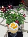 Mango float