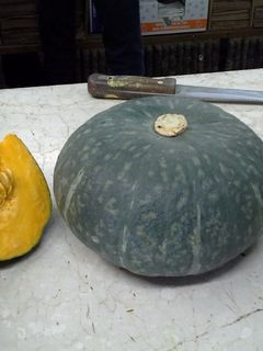 Foto di CUCURBITA MAXIMA tipo mantovana.... TORTELLI DI ZUCCA ALLA MANTOVANA