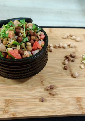 A picture of SPROUT SALAD/PROTEIN SALAD.