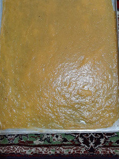 عکسی از دستور لواشک آلو