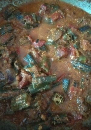 A picture of Bindi masala curry.