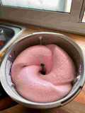 Espuma rápido de frutas congeladas