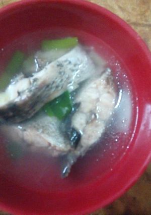 鱸魚湯 的食譜成品照片