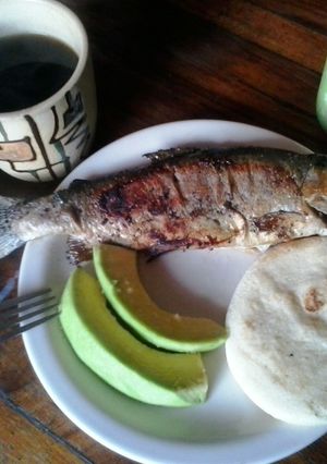 Una foto de Trucha a la salvia