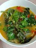 31:3:25 - TUMIS AIR PUCUK BELINJAU D'KAMPONG