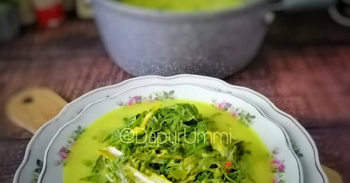 Resipi Masak Lemak Pucuk Paku Oleh Norashikin Rahmat Cookpad