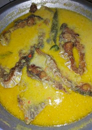 Foto resep Patin Santan