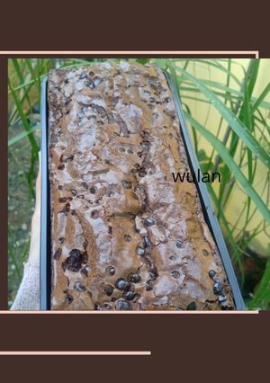 Foto resep Fudgy brownie no mixer takaran sendok