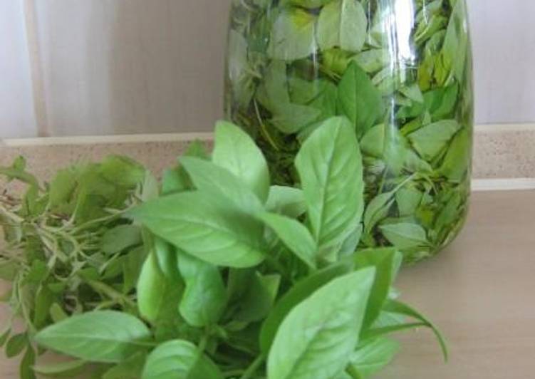 Fresh basil throughout the winter