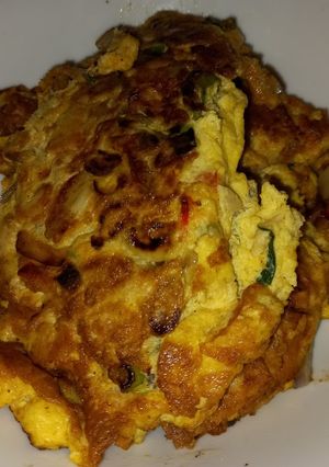 Foto resep Telur dadar daging ayam