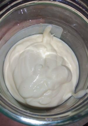 عکسی از دستور سس مایونز