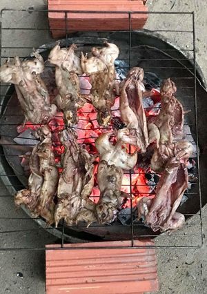 Hình của món Chuột Đồng Nướng Muối Ớt.