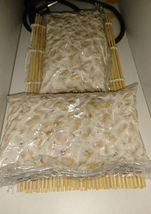 Foto resep Tempe homemade