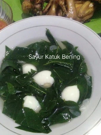 Cara Mudah Menyiapkan Resep  Sayur Bening Katuk yang Bisa Manjain Lidah, Bisa Manjain Lidah