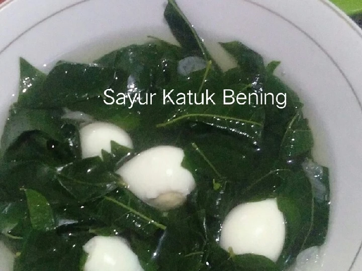 Cara Mudah Menyiapkan Resep  Sayur Bening Katuk yang Bisa Manjain Lidah, Bisa Manjain Lidah