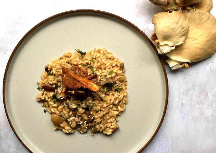 Simple Way to Prepare Ultimate Mushrooms risotto