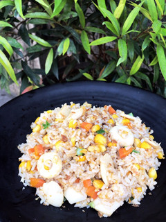 Foto resep Nasi Goreng Hongkong (Oriental)