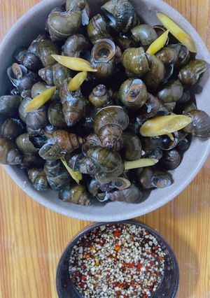 Hình của món Ốc đắng luộc.