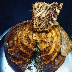 A picture of Swirl Cake.