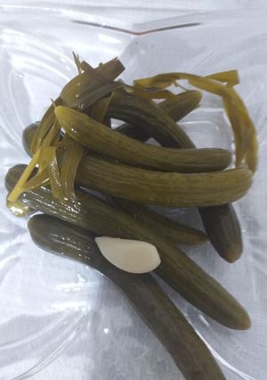 عکسی از دستور خیارشور خانگی😋🌸