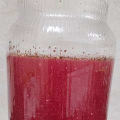 Probiotic Beetroot Carrot Kaanji A picture of Probiotic Beetroot Carrot Kaanji.