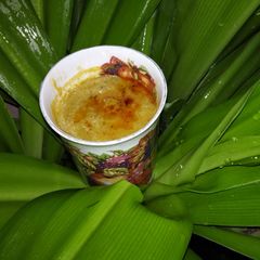 A picture of Crushed Green matar (choliya).