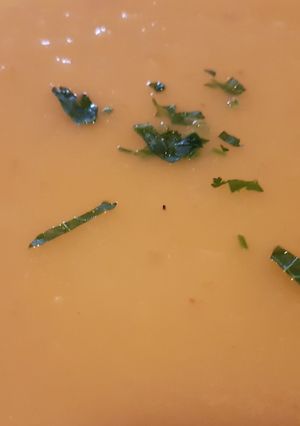 Una foto de Sopa Depurativa y Quemagrasas
