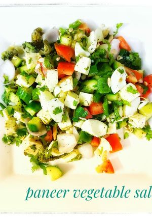 A picture of Paneer salad.