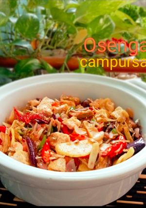 Foto resep Osengan Campursari