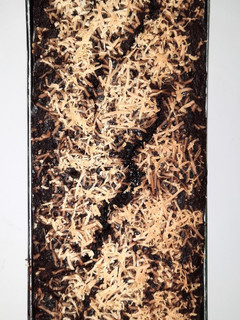 Foto resep Brownis Pisang Nyoklat