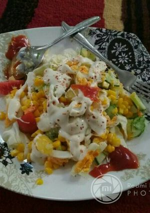 Foto resep Salad sayur dan telur
