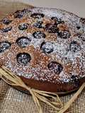 Torta mirtillina