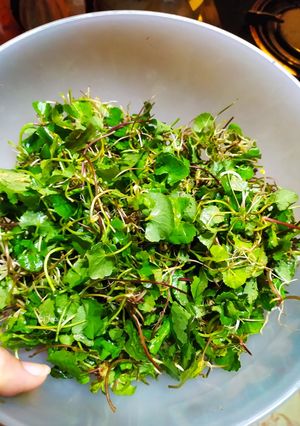 Hình của món Nộm rau má.