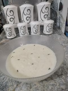 عکسی از دستور شیربرنج