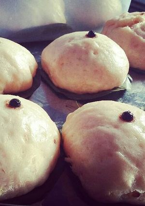 Foto resep PAO COKLAT ala Heny ZanVer 😂
