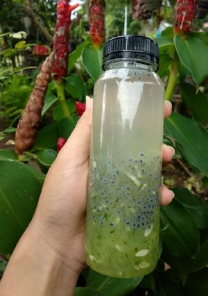 Foto resep Es Timun Lemon